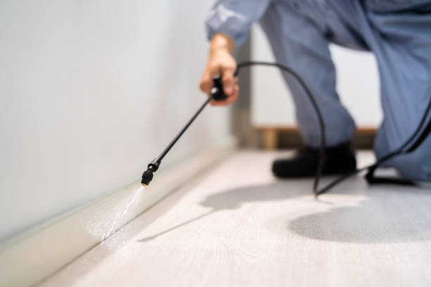Licensed Termite Control service in Solomon, KS - Nex Pest Control