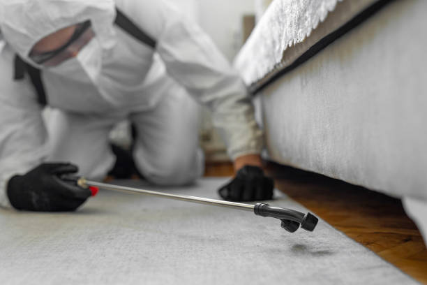 Professional Termite Control technician working in Solomon, KS