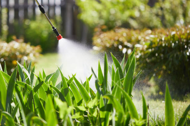 24/7 Emergency Termite Control experts in Solomon, KS
