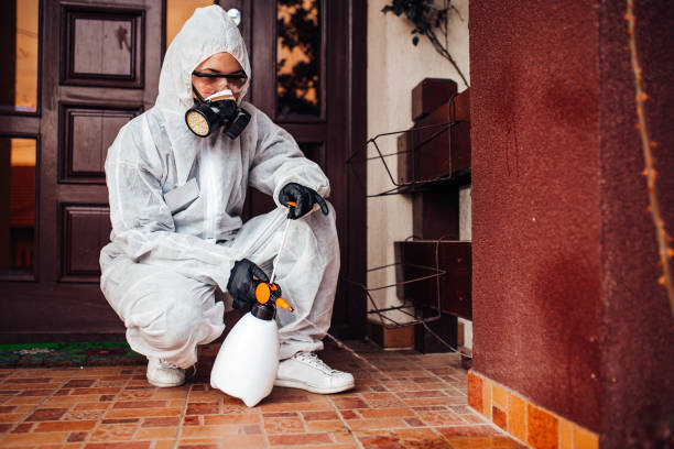 Reliable Termite Control contractor in Solomon, KS by Nex Pest Control