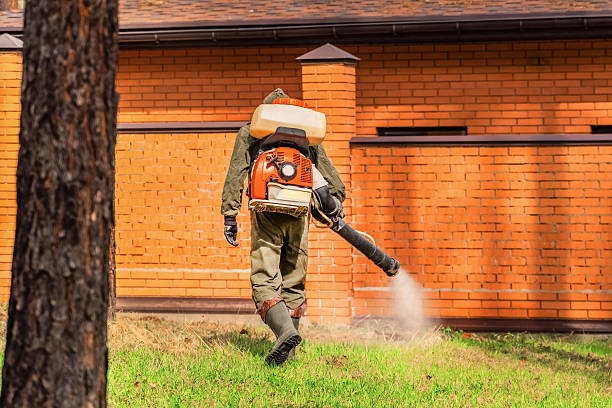 Top rated local Termite Control specialists in Solomon, KS